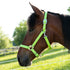 Country Pride Deluxe Poly Halter